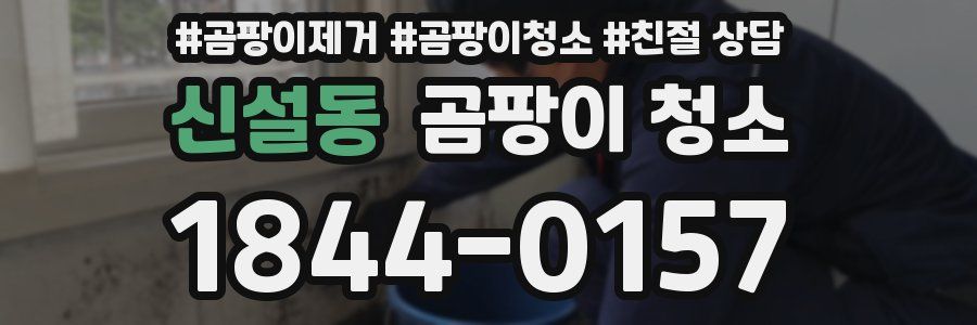신설동 곰팡이 청소