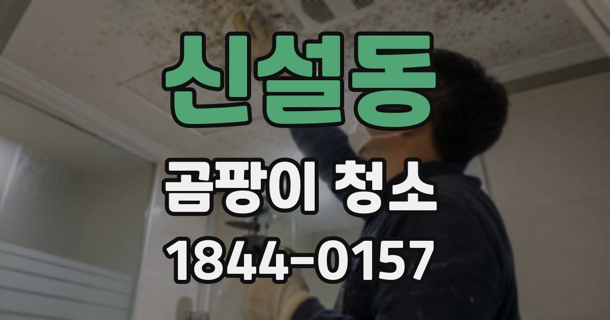 신설동 곰팡이 청소