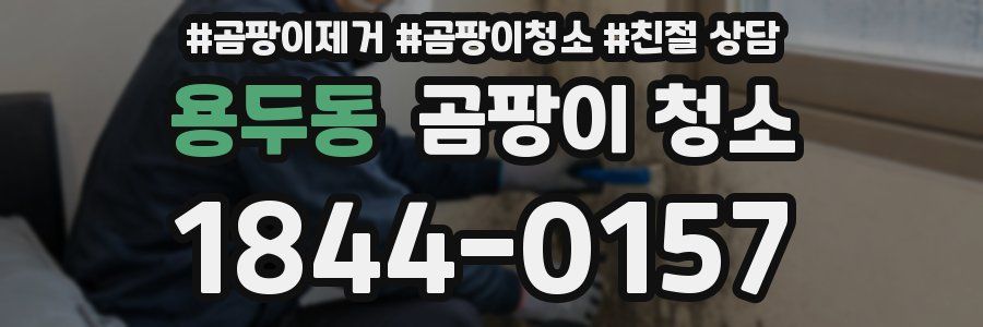 용두동 곰팡이 청소