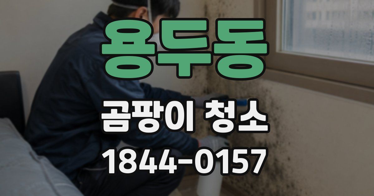 용두동 곰팡이 청소