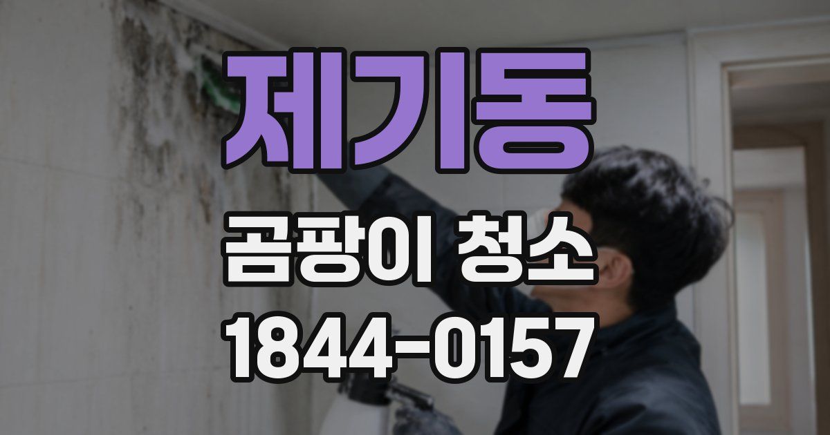 제기동 곰팡이 청소