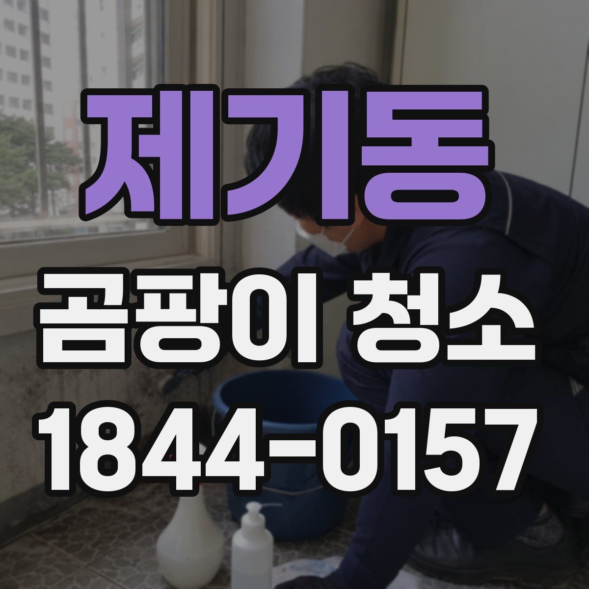 제기동 곰팡이 청소