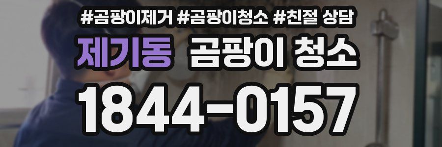 제기동 곰팡이 청소