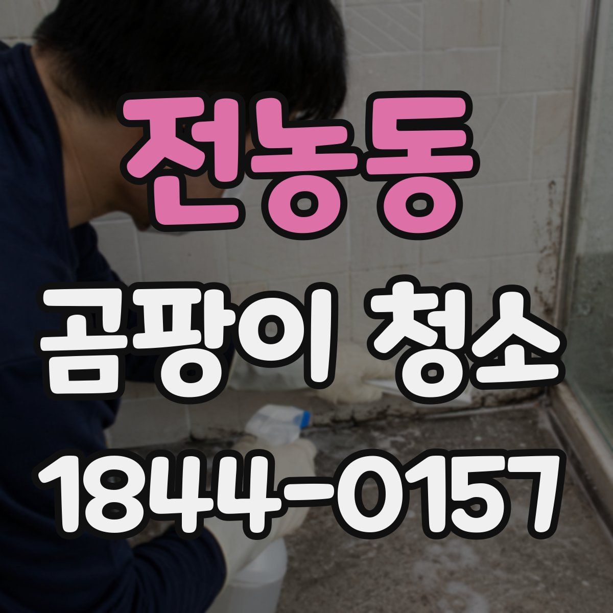 전농동 곰팡이 청소