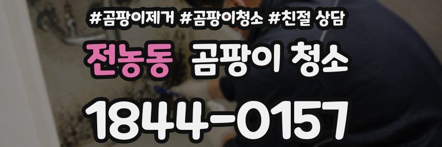 전농동 곰팡이 청소