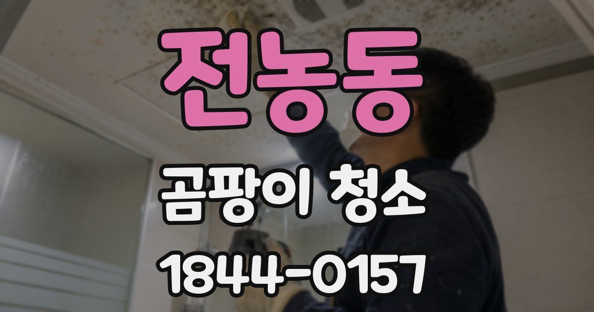 전농동 곰팡이 청소