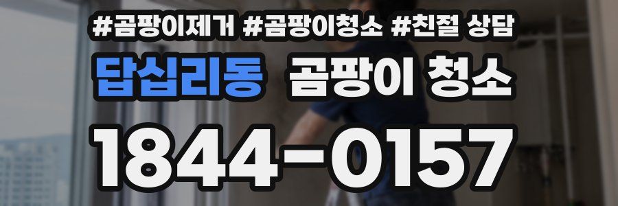 답십리동 곰팡이 청소