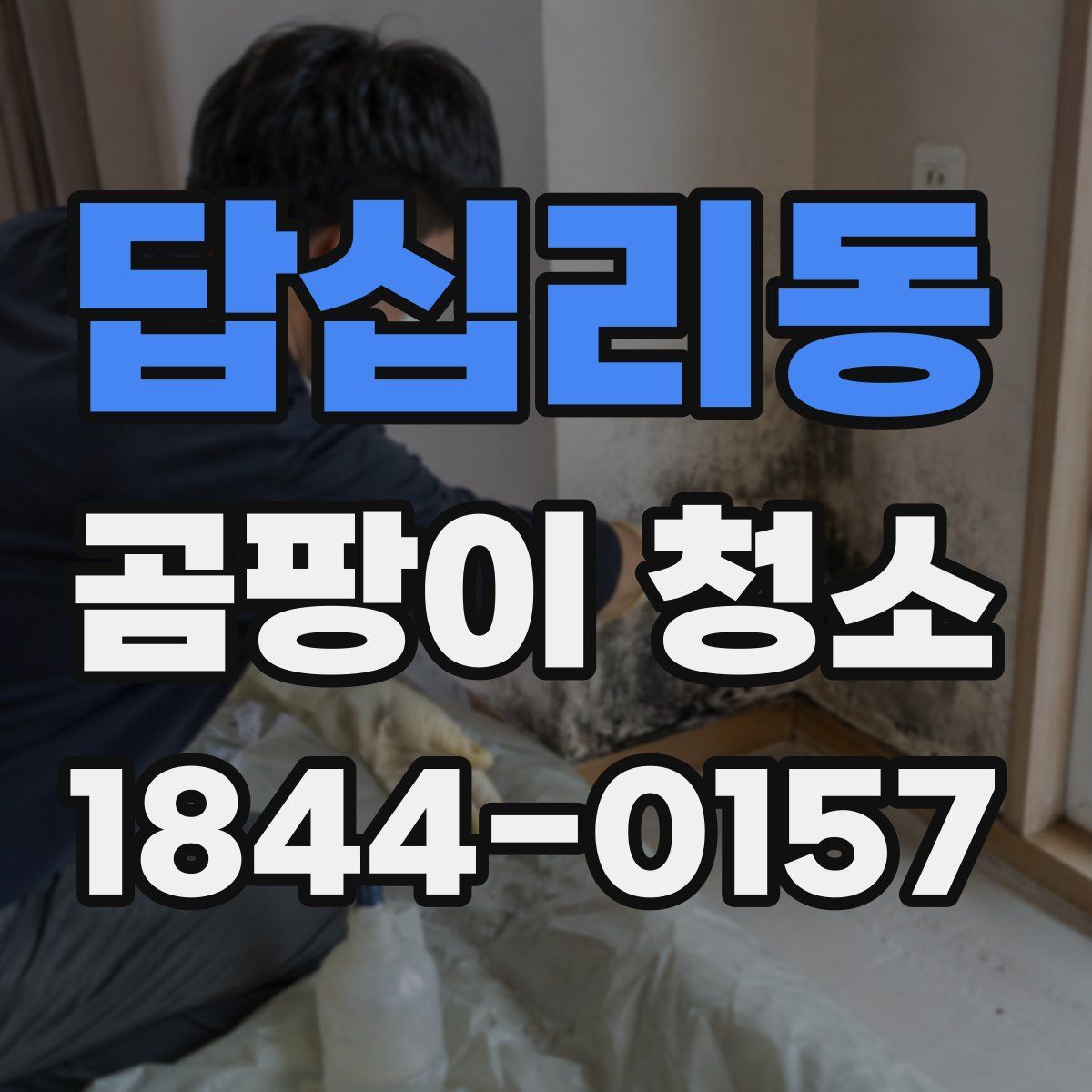 답십리동 곰팡이 청소