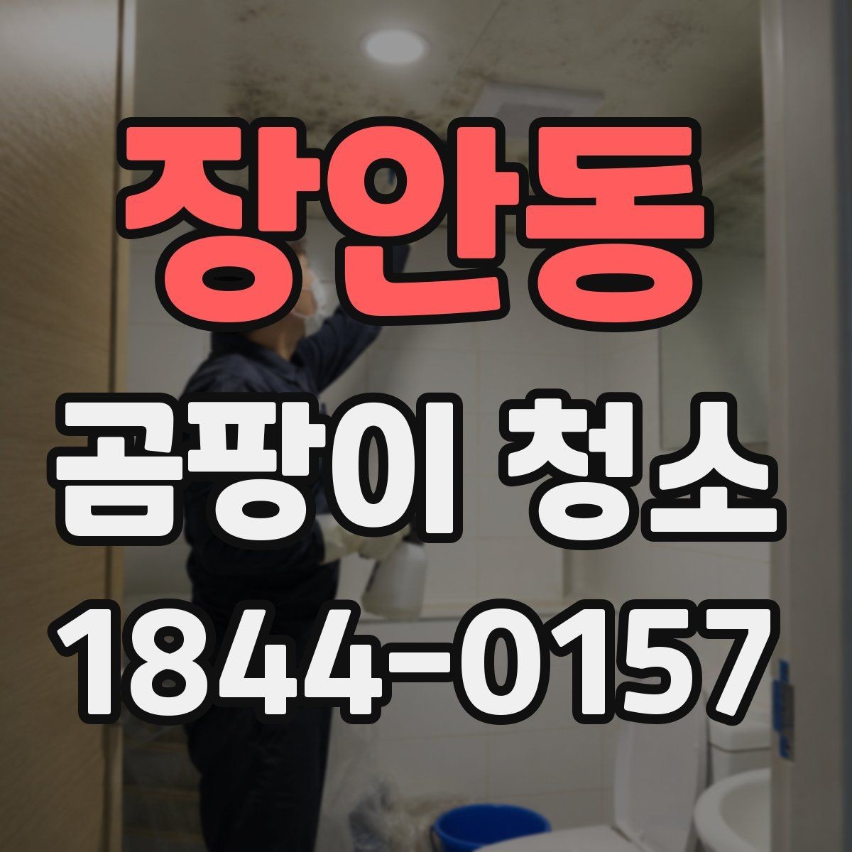 장안동 곰팡이 청소 작업 전 보호장비 준비