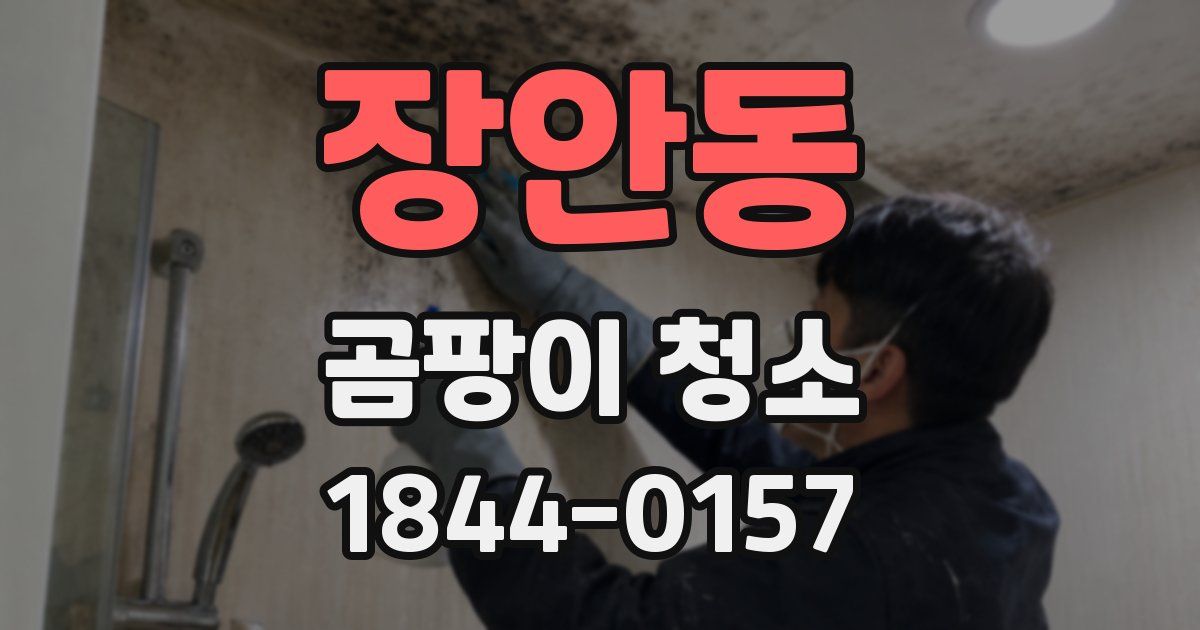 장안동 곰팡이 청소