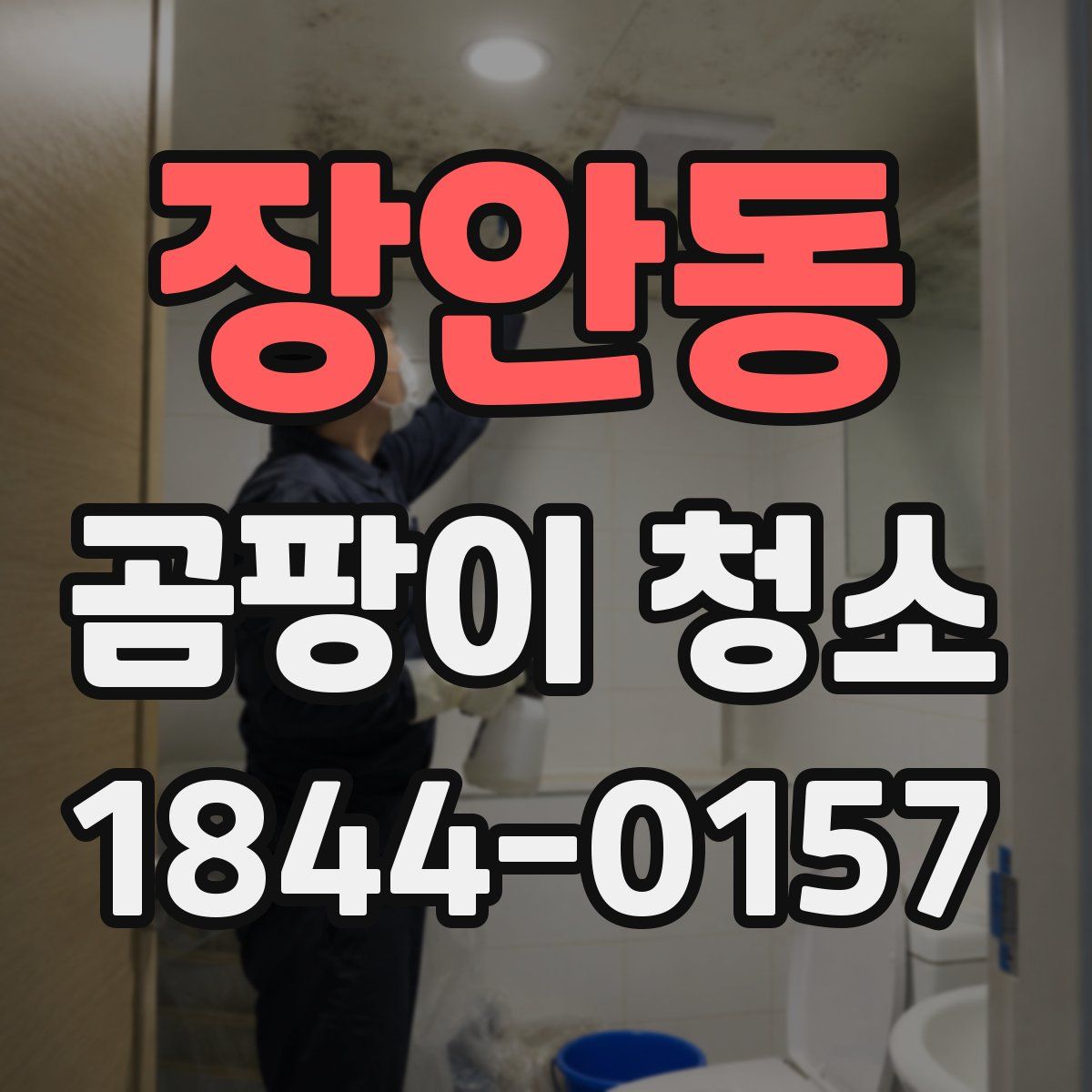 장안동 곰팡이 청소