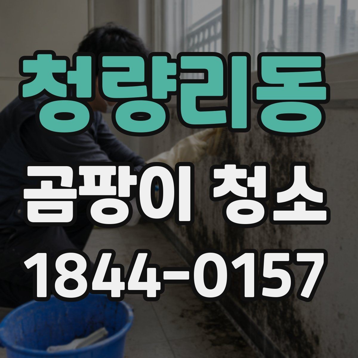 청량리동 곰팡이 청소 비용 상담 전에 정리할 정보