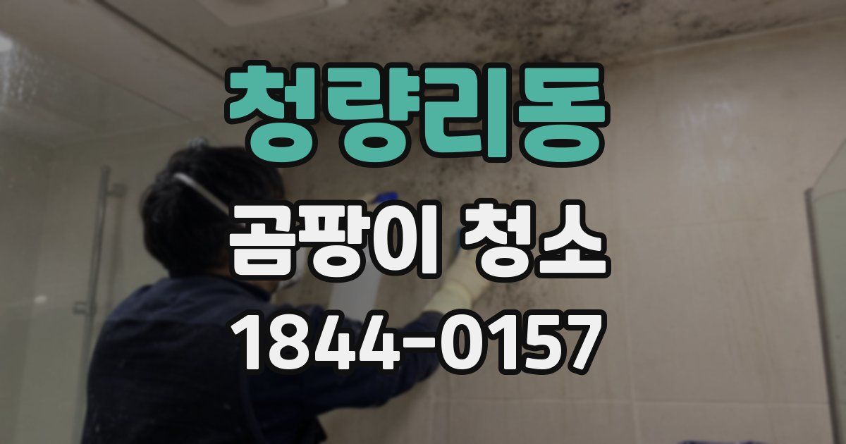청량리동 곰팡이 청소