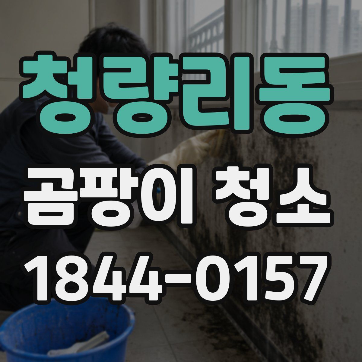 청량리동 곰팡이 청소