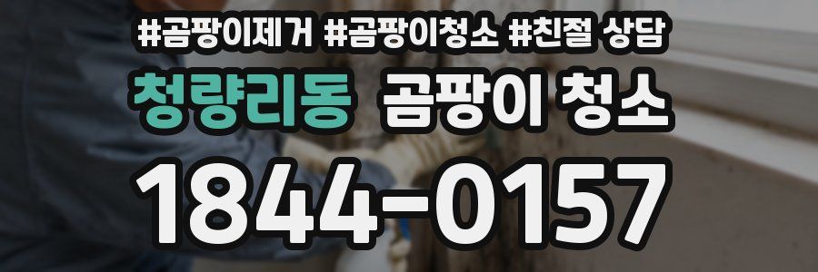 청량리동 곰팡이 청소
