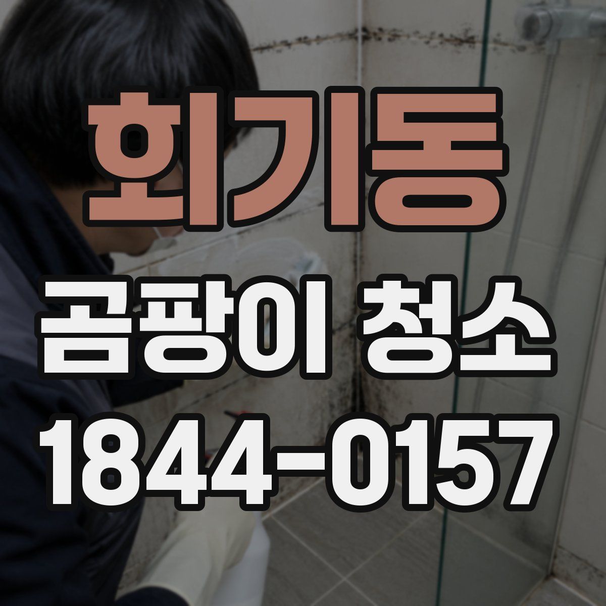 회기동 곰팡이 청소
