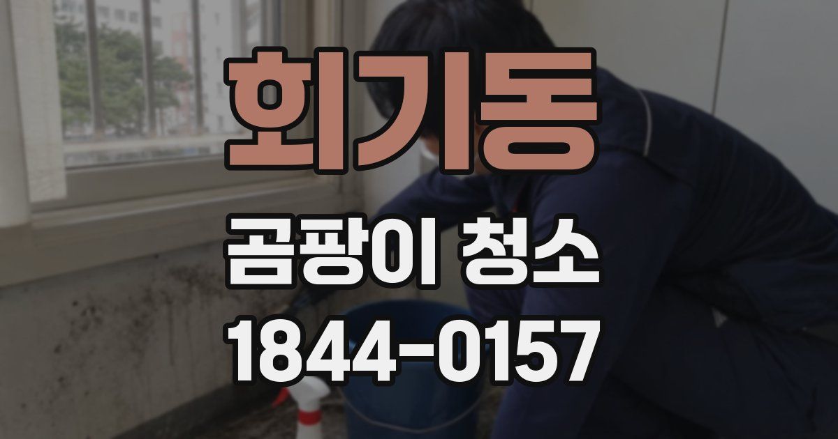 회기동 곰팡이 청소
