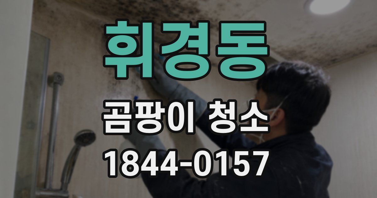 휘경동 곰팡이 청소