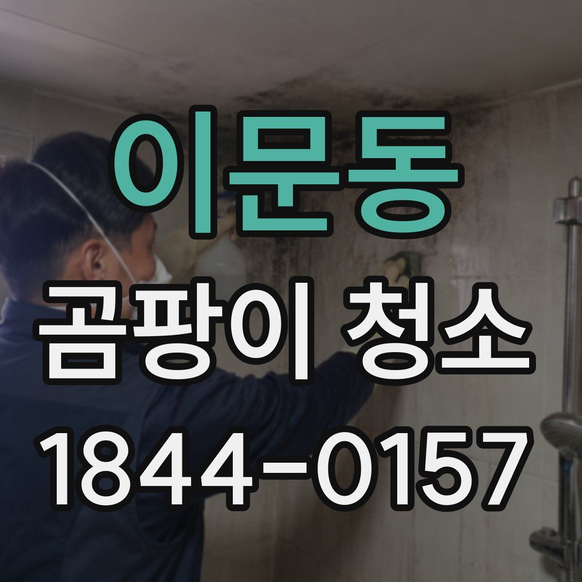 이문동 곰팡이 청소