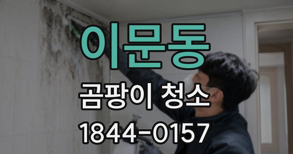 이문동 곰팡이 청소