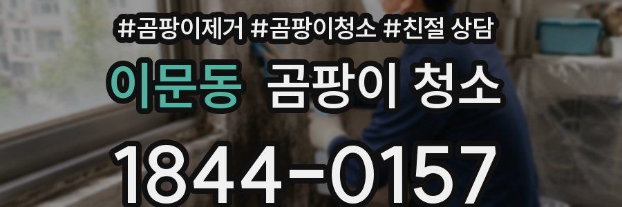 이문동 곰팡이 청소