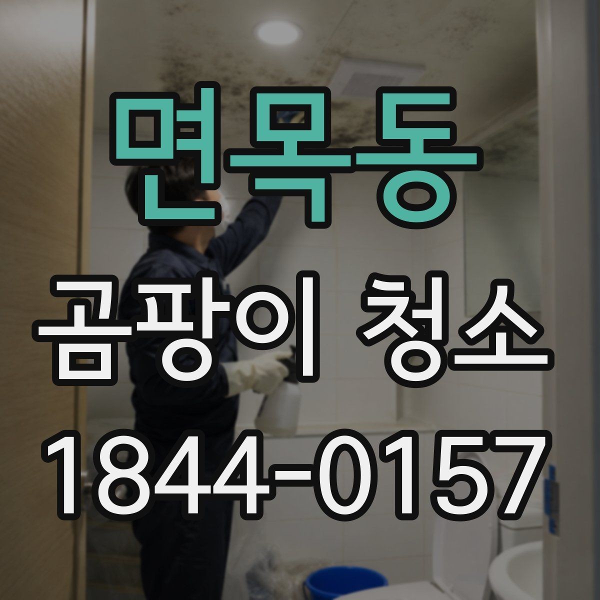 면목동 곰팡이 청소 후 곰팡이 냄새를 줄이는 방법