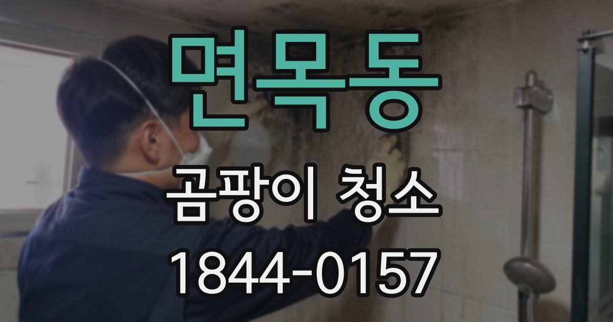 면목동 곰팡이 청소