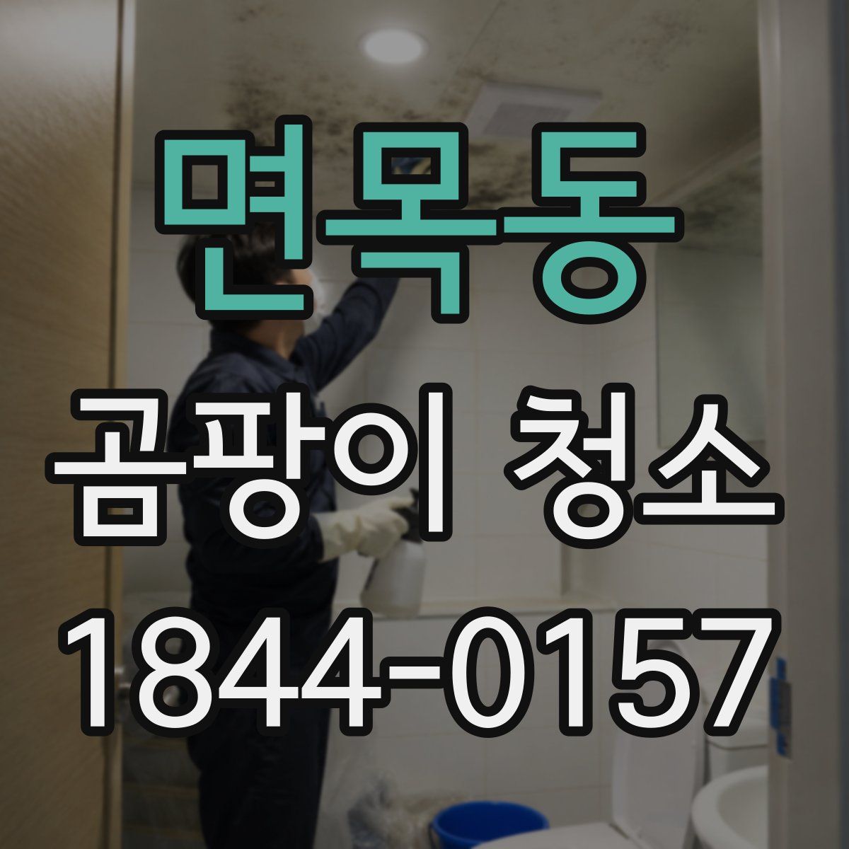 면목동 곰팡이 청소