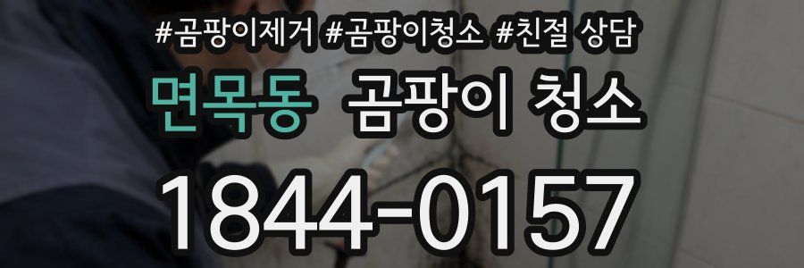 면목동 곰팡이 청소