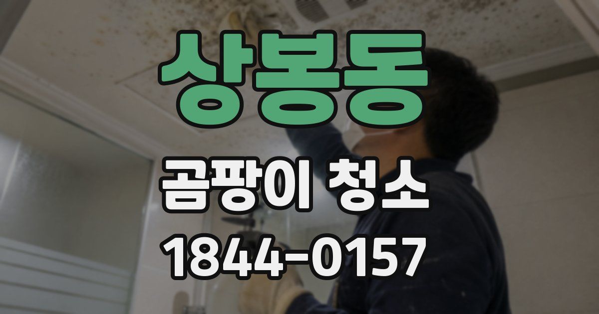 상봉동 곰팡이 청소