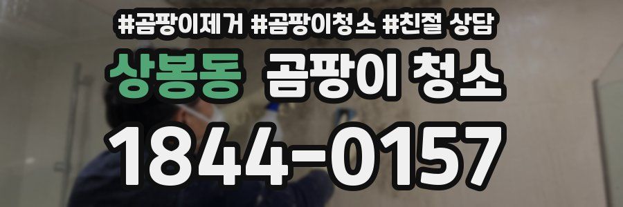 상봉동 곰팡이 청소
