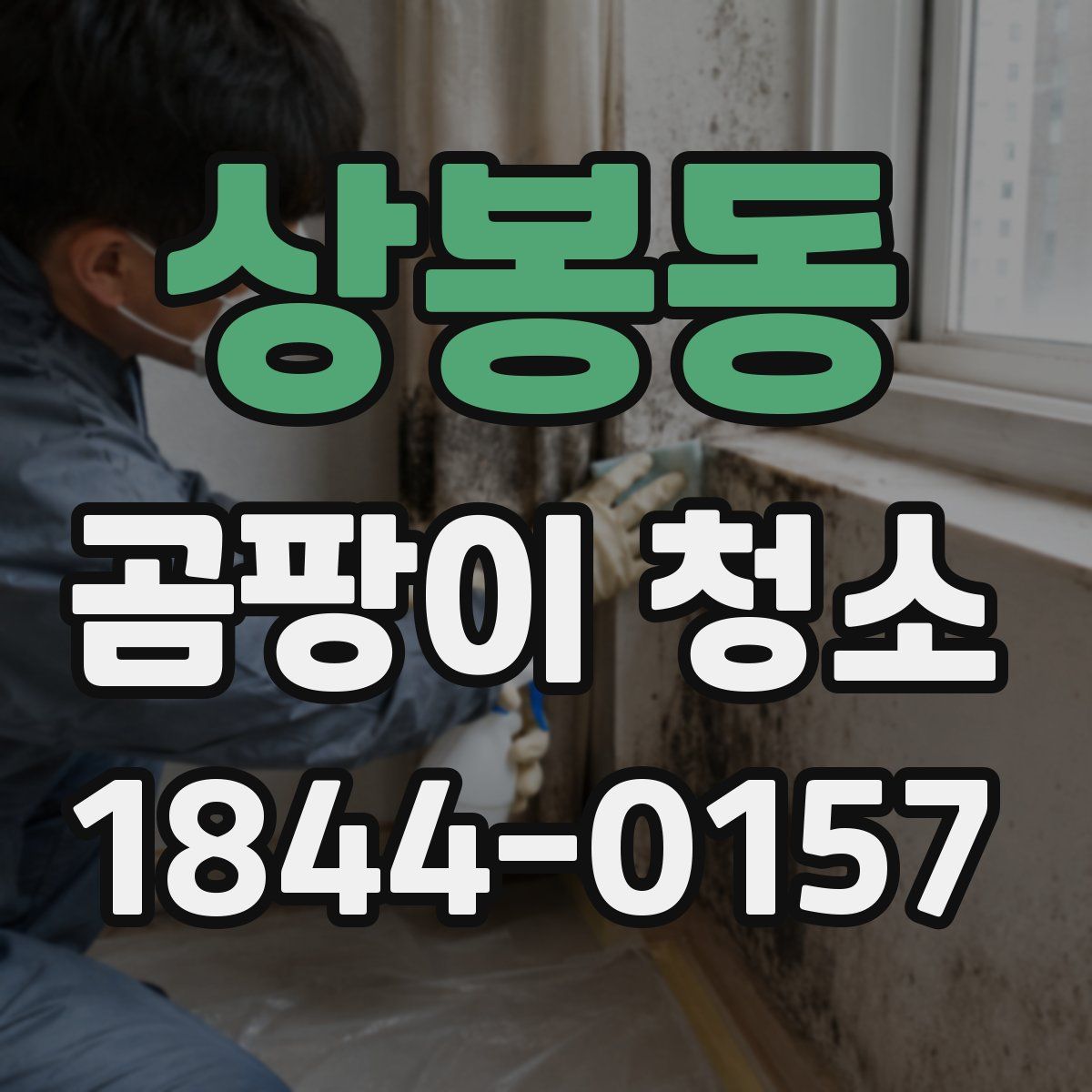 상봉동 곰팡이 청소