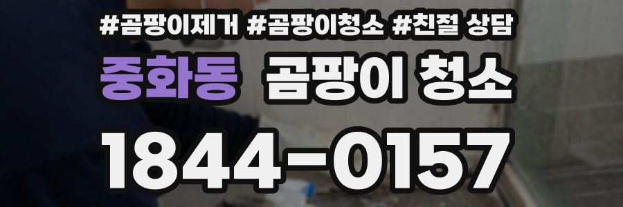 중화동 곰팡이 청소