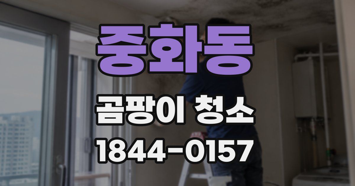 중화동 곰팡이 청소