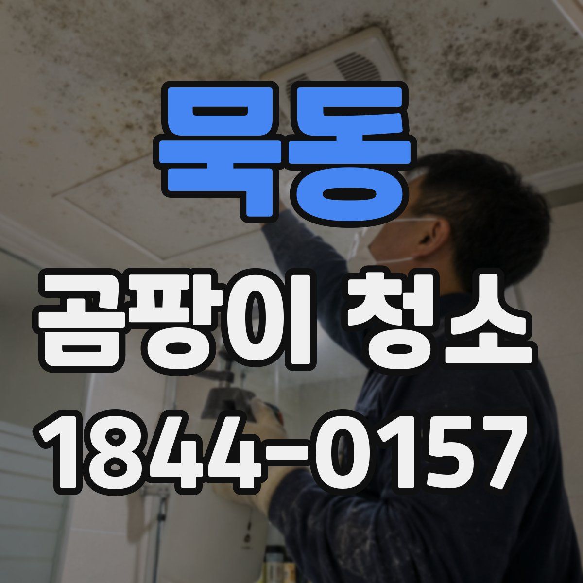묵동 곰팡이 청소