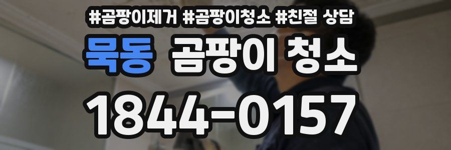 묵동 곰팡이 청소