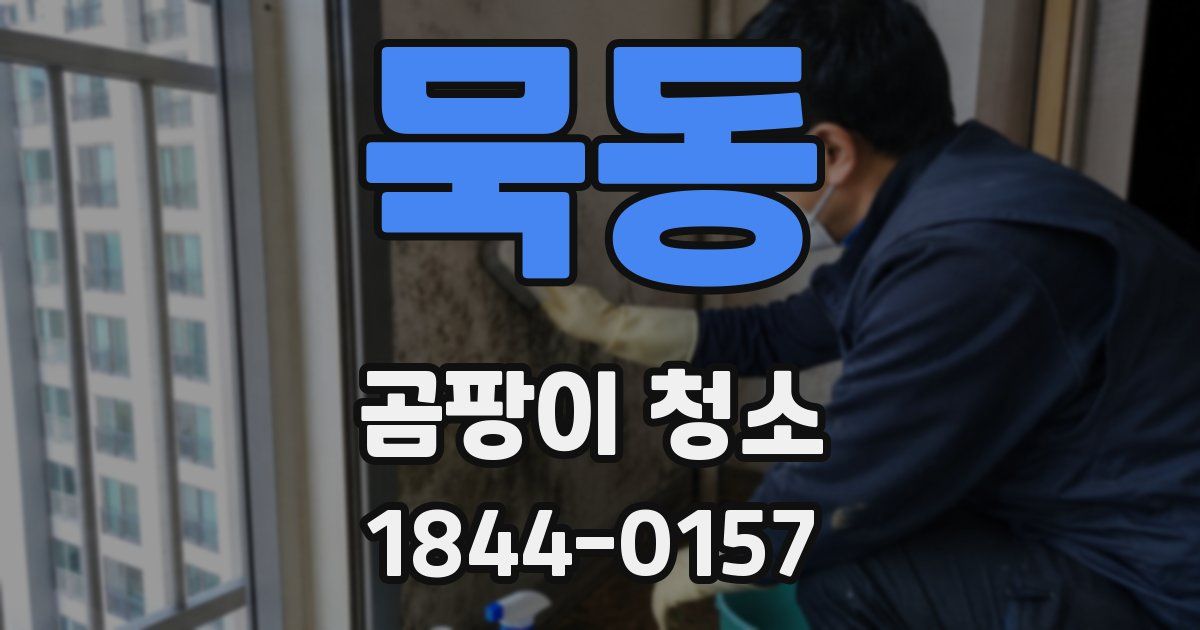 묵동 곰팡이 청소