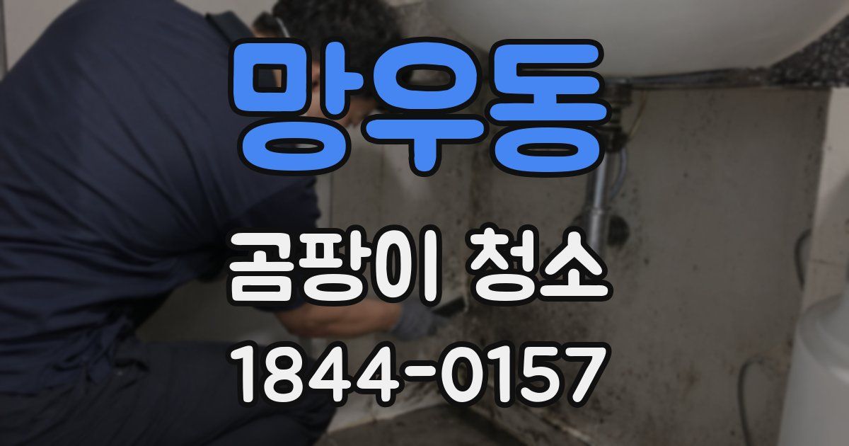 망우동 곰팡이 청소