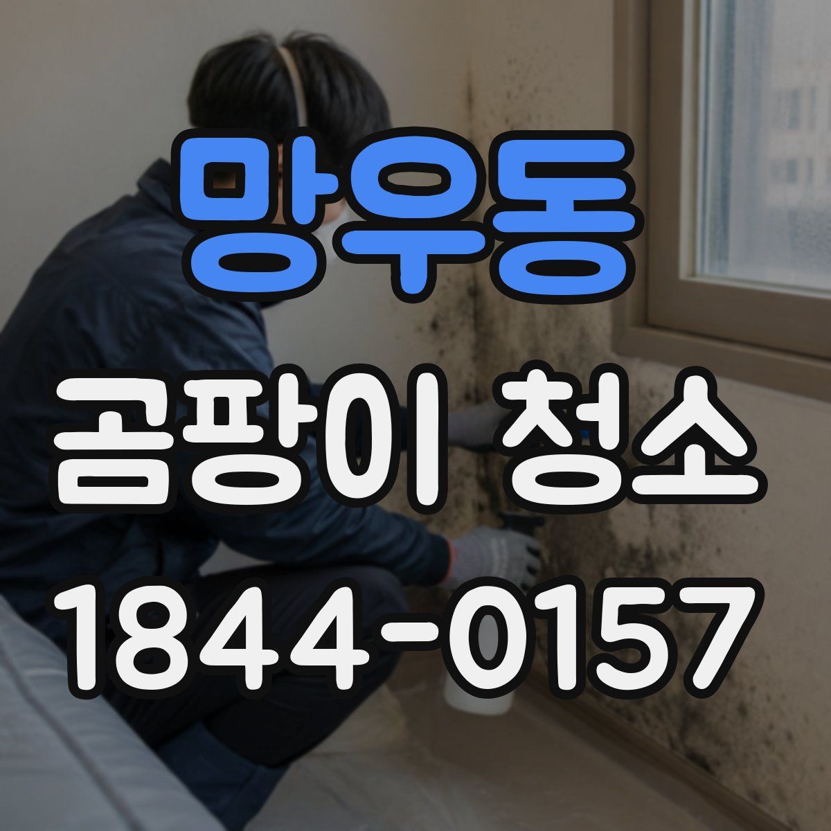 망우동 곰팡이 청소