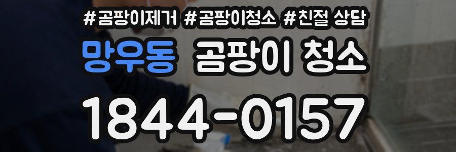 망우동 곰팡이 청소
