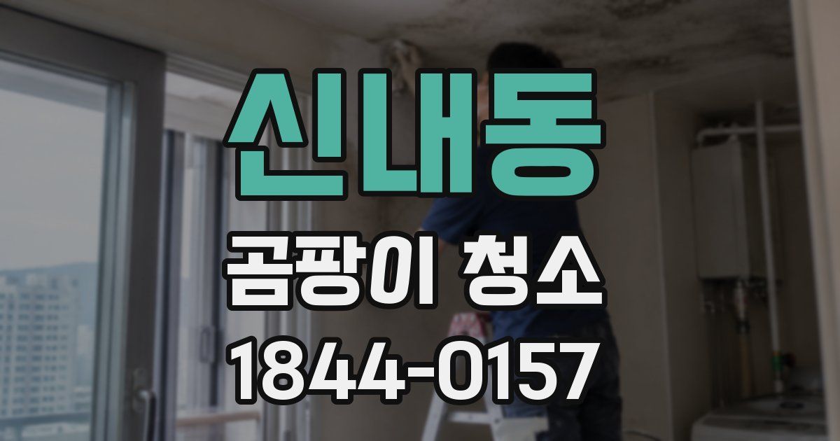 신내동 곰팡이 청소