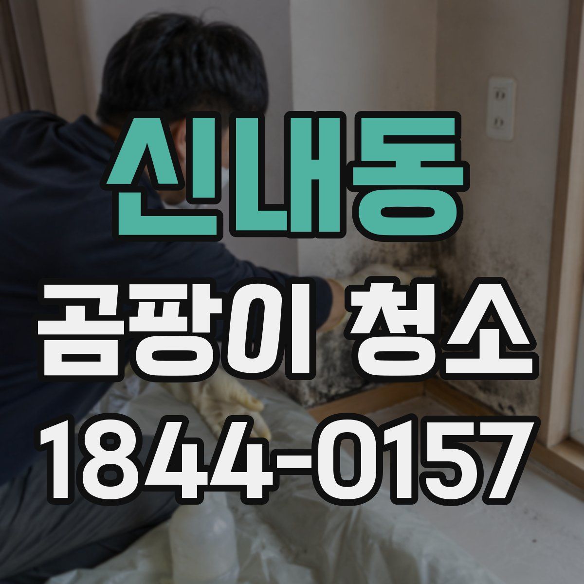 신내동 곰팡이 청소