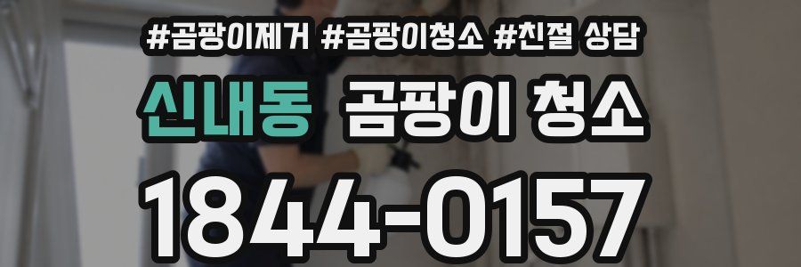 신내동 곰팡이 청소