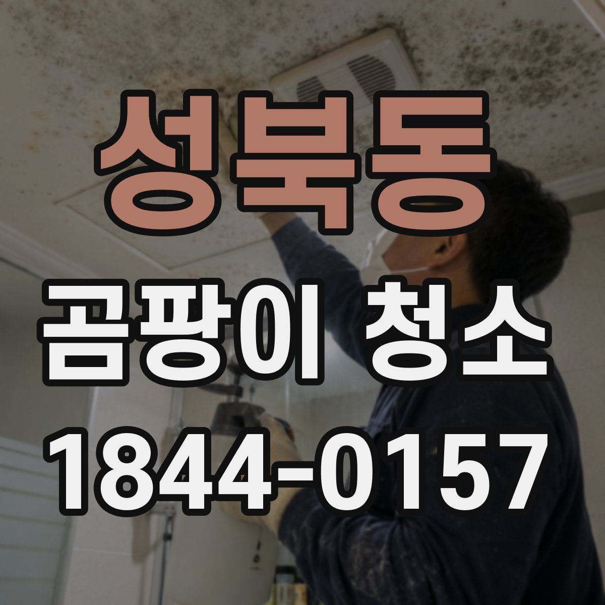 성북동 곰팡이 청소