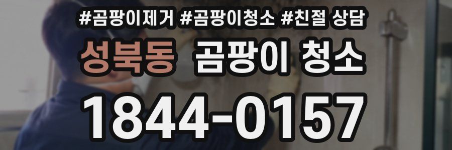 성북동 곰팡이 청소