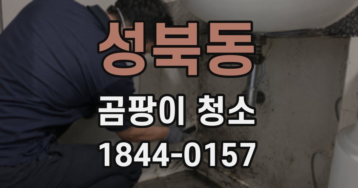 성북동 곰팡이 청소