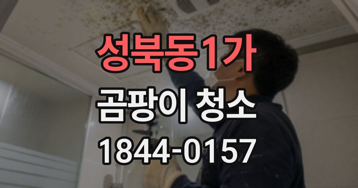 성북동1가 곰팡이 청소