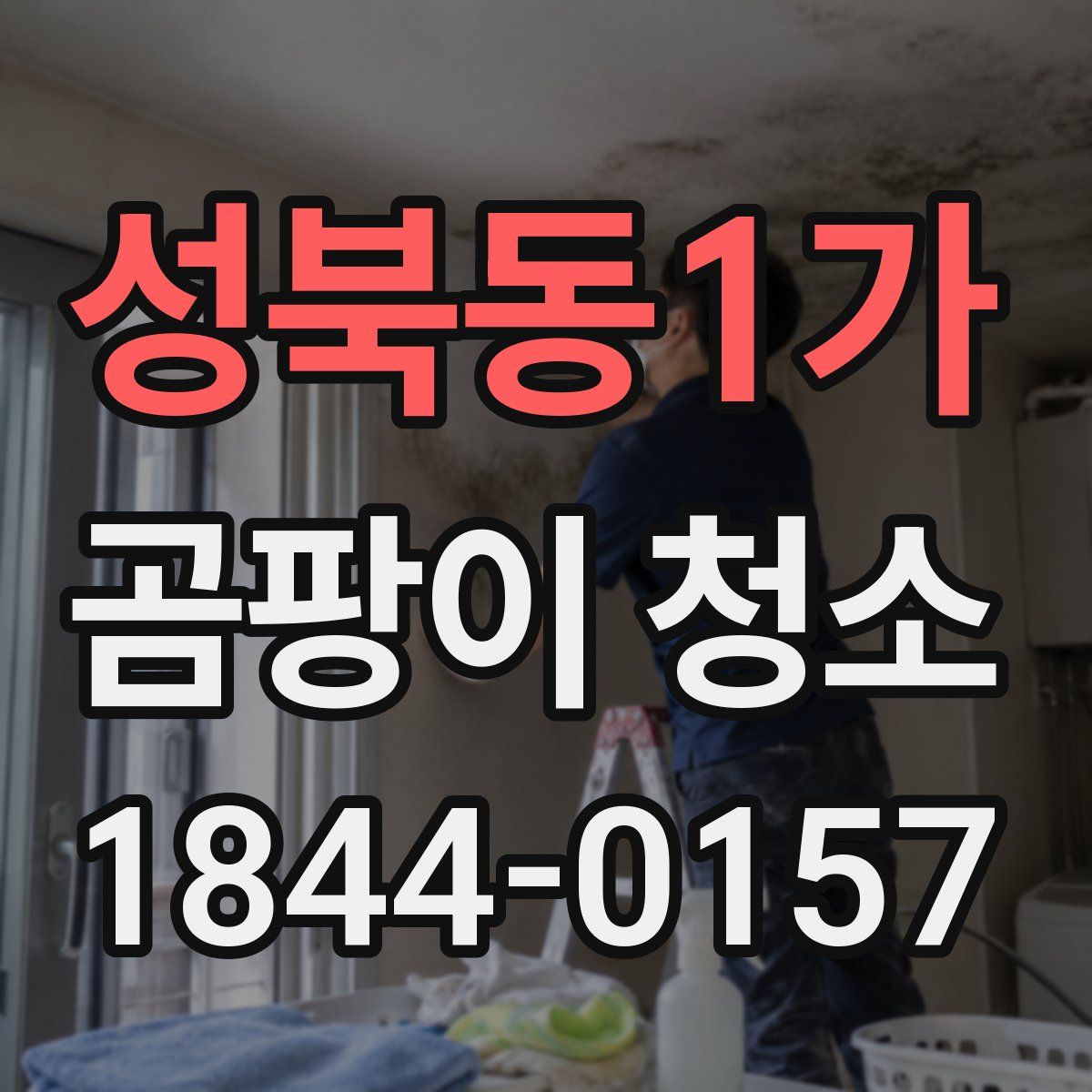 성북동1가 곰팡이 청소
