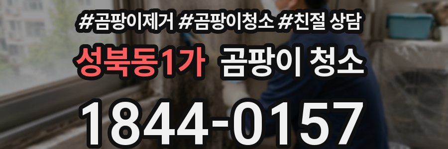 성북동1가 곰팡이 청소