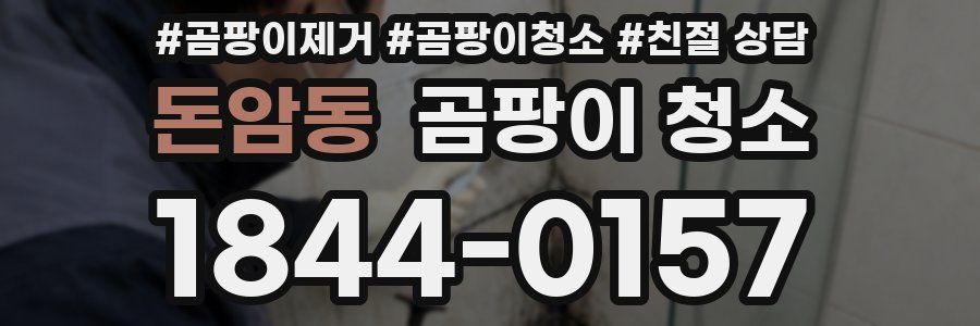 돈암동 곰팡이 청소